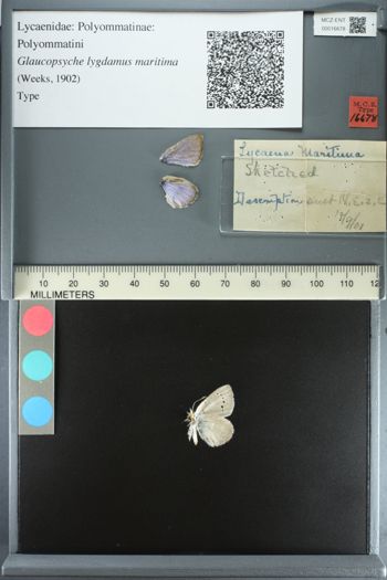 Media type: image;   Entomology 16678